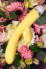 Вибратор с клиторальным стимулятором TOYFA Flovetta  Aster
