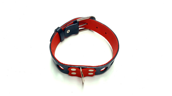 Ошейник BDSM Games  Pit Bull B05R красный